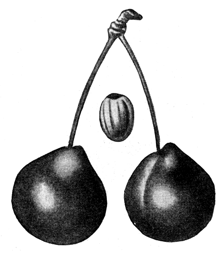 150.   