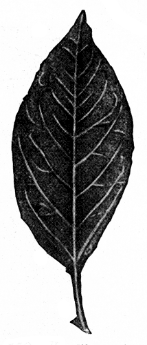152.   