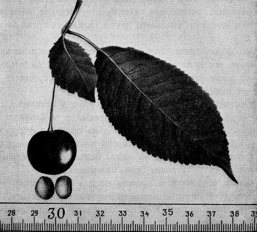 158.  