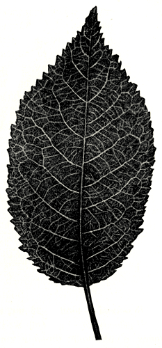 159.   