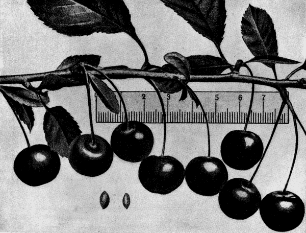 160.   