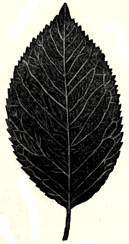 164.   
