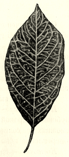 167.   
