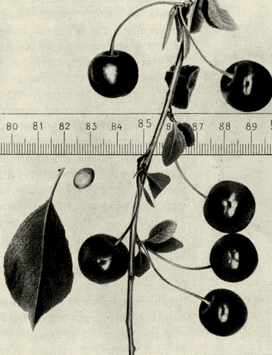 168.   