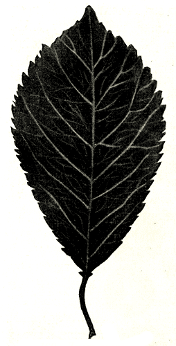 169.    