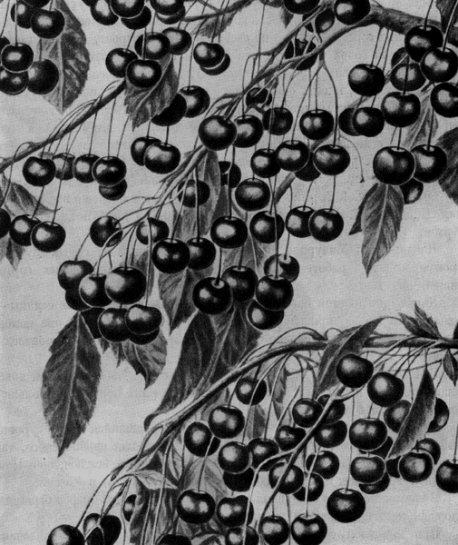 170.    