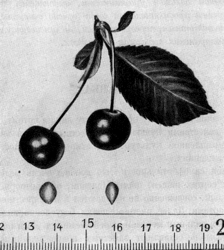 171.  
