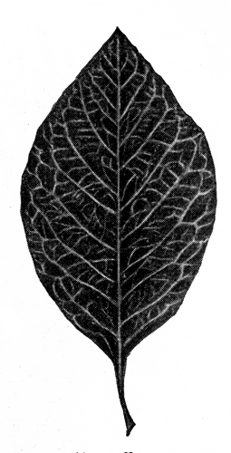 172.   