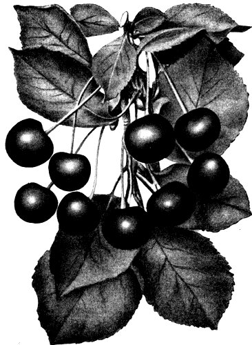 175.  