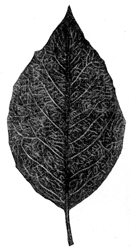 178.   