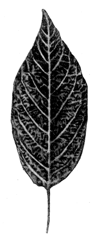 183.    1