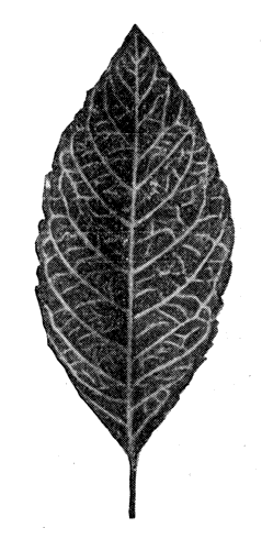 184.   