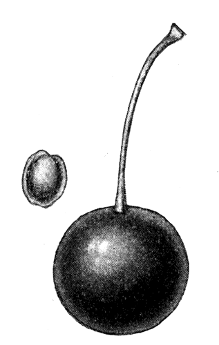 187.  
