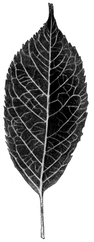 188.   