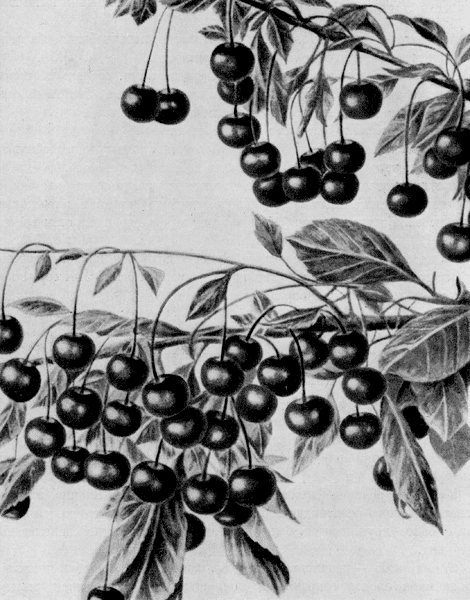 189.   