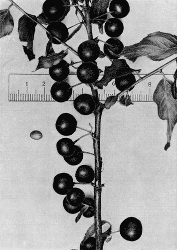 190.  