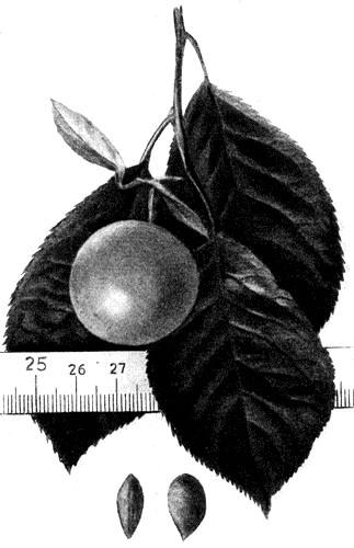 192.   