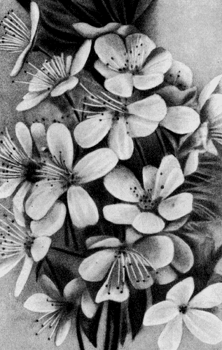 193.    