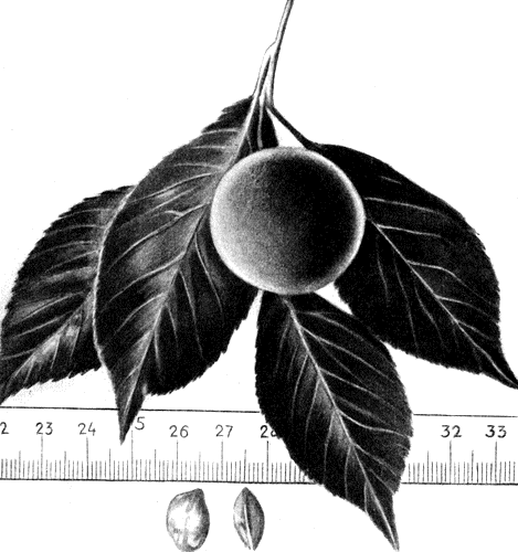 195.   
