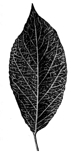 196.   