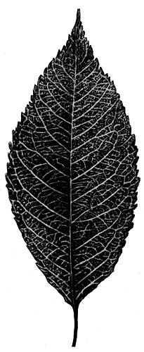 197.   