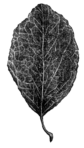 199.   