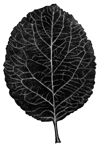 200.   