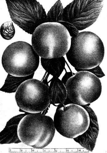 203.   
