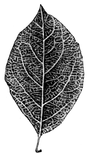 204.   