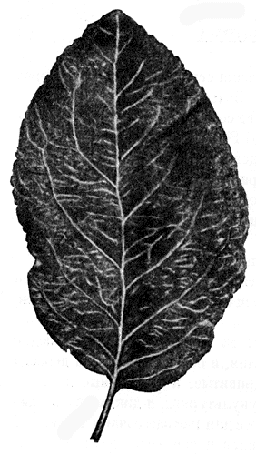 205.   