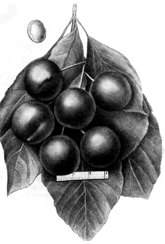 208.  
