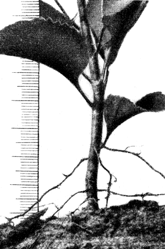 228.         