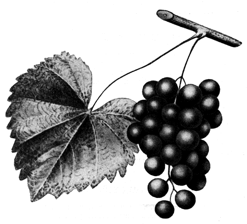 235.  