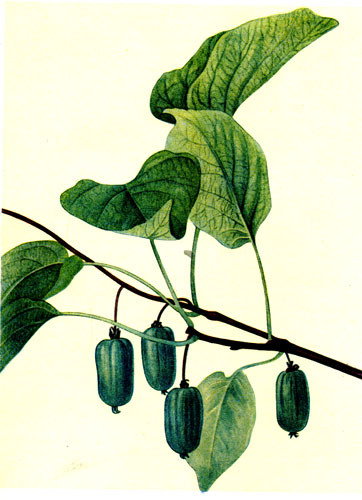 ������� XXXIV. ��������� ����� ������